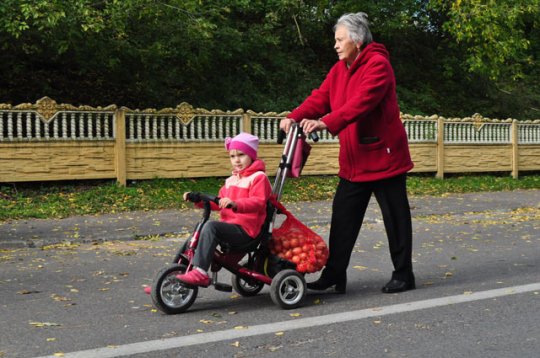 Наибольшим спросом пользовались картофель, лук и капуста