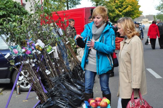 Наибольшим спросом пользовались картофель, лук и капуста