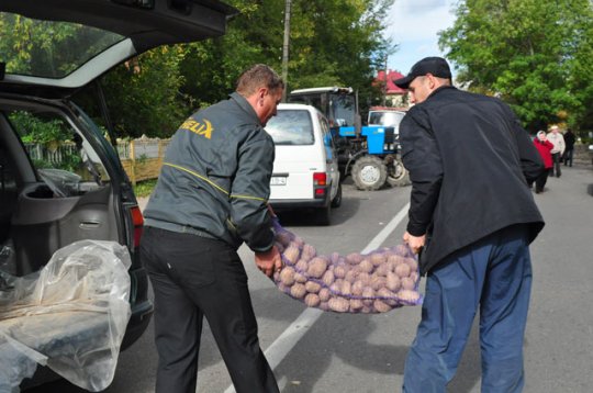 Наибольшим спросом пользовались картофель, лук и капуста