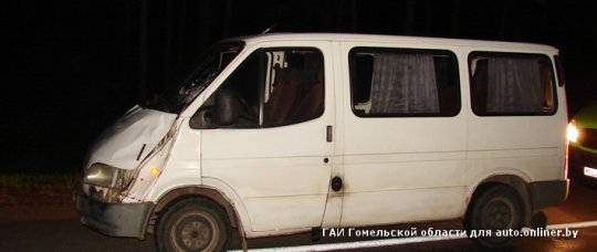 Под Гомелем «Форд-Транзит» насмерть сбил пешехода (Фото)