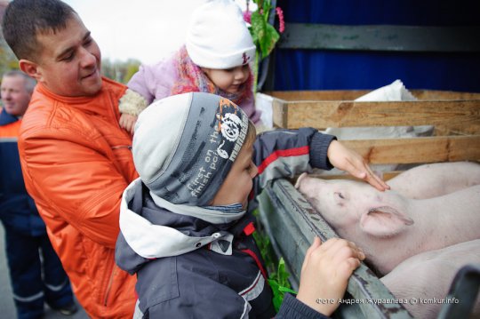Что почем на сельскохозяйственной ярмарке в Бобруйске?