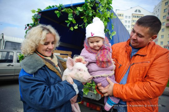Что почем на сельскохозяйственной ярмарке в Бобруйске?