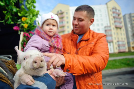 Что почем на сельскохозяйственной ярмарке в Бобруйске?