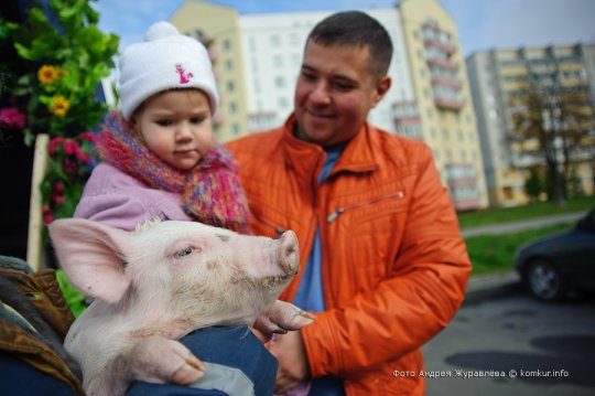 Что почем на сельскохозяйственной ярмарке в Бобруйске?