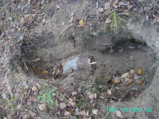 В Речицком районе уничтожено 6 авиабомб (фото)