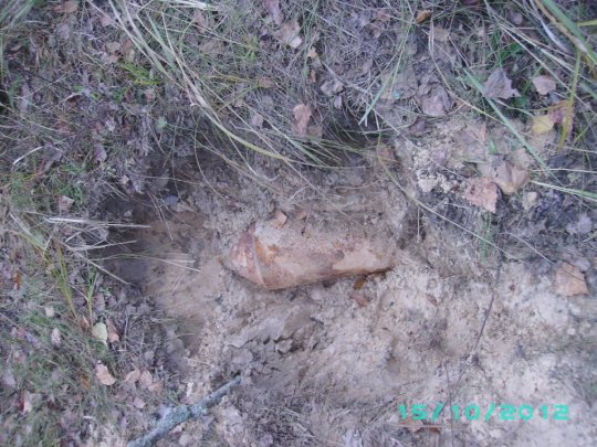 В Речицком районе уничтожено 6 авиабомб (фото)