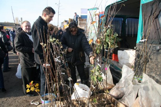 Ярмарка в Поставах удалась!