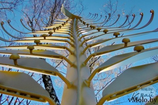 Очередное нововведение в парке