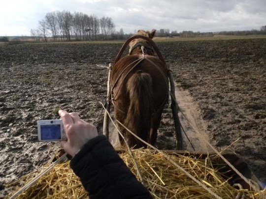 Валанцёры ўпарадкавалі тэрыторыю каля дома Гарэцкіх у Багацькаўцы