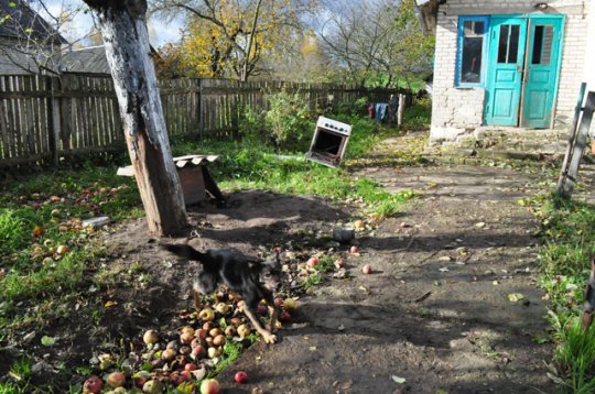 Валерий Фалько: “Помогите мне, я хочу ещё пожить” (обновлено). ВИДЕО