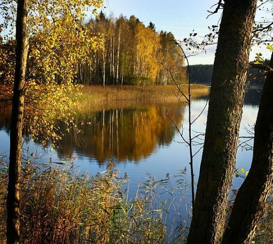 Не гасне агонь ні ў кузні, ні ў творчай душы…