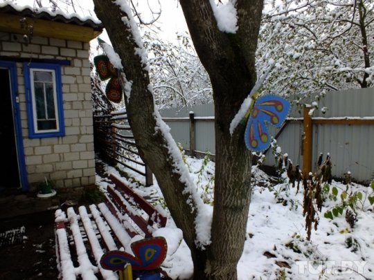 "Государственные дети" передают приемной маме рисунки, а Минобразования отправляет за комментариями на свой сайт