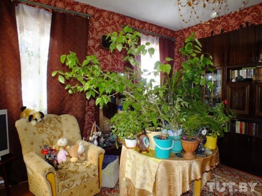 "Государственные дети" передают приемной маме рисунки, а Минобразования отправляет за комментариями на свой сайт