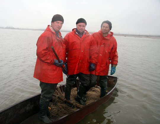 Не обеднела голубая нива…