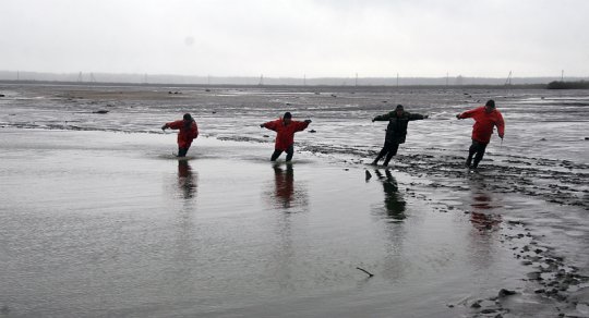 Не обеднела голубая нива…