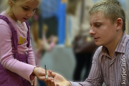 ТОП-5 экзотических бабочек, прилетевших в Солигорск