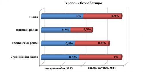 Население Лунинецкого, Пинского, Столинского районов сократилось, в Пинске – увеличилось