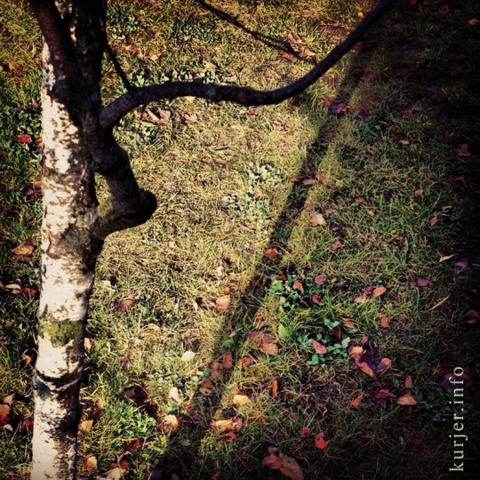 Фотохроника ноября—2012. Слуцк