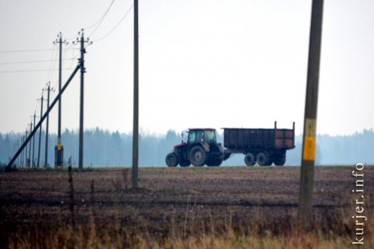 Фотохроника ноября—2012. Слуцк