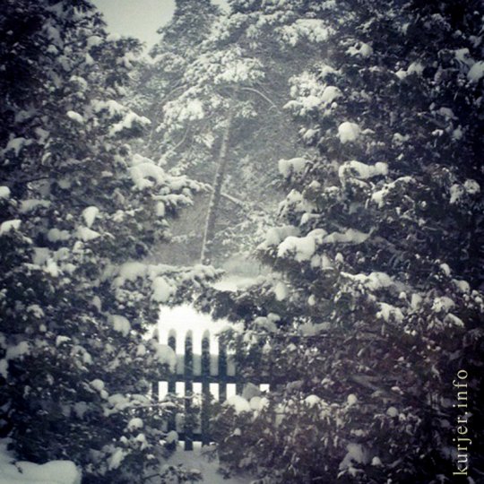 Снегопад «головного мозга»