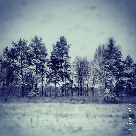 Снегопад «головного мозга»