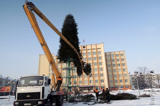 Депеша дня. 13.12.12. Шубомания, подписчики и ёлка