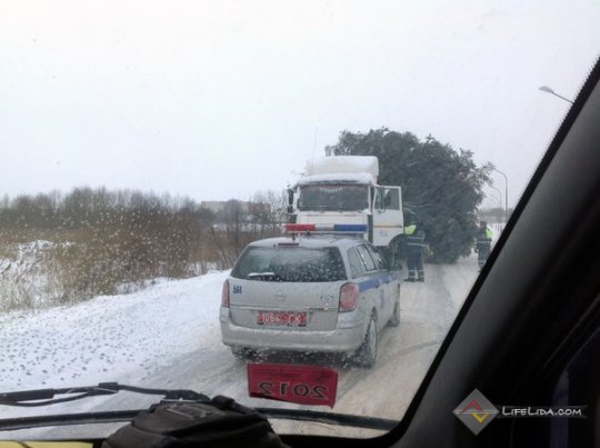 В Лиде перевозка елки создала большую пробку на ...