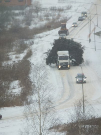 В Лиде перевозка елки создала большую пробку на ...