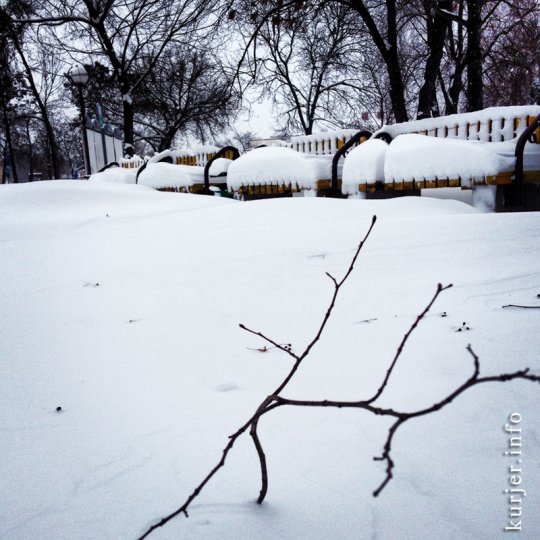 Фотоокна. 16 декабря 2012. Метелица