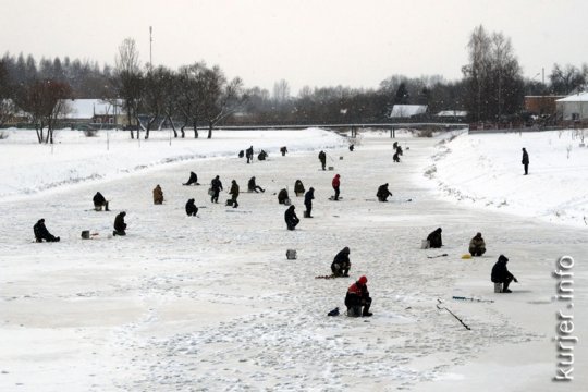 15 фотографий года-2012