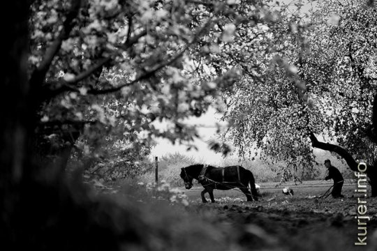 15 фотографий года-2012