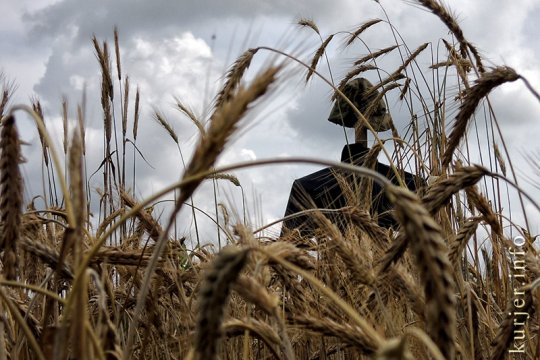 15 фотографий года-2012