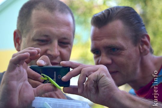 15 фотографий года-2012