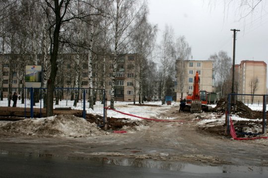 Протест могилевчан не спас берёзы в микрорайоне Юбилейный