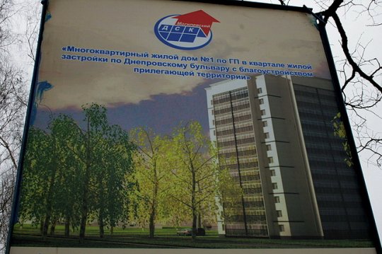 Протест могилевчан не спас берёзы в микрорайоне Юбилейный