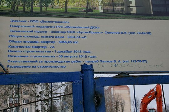 Протест могилевчан не спас берёзы в микрорайоне Юбилейный