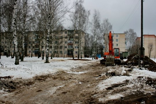 Протест могилевчан не спас берёзы в микрорайоне Юбилейный