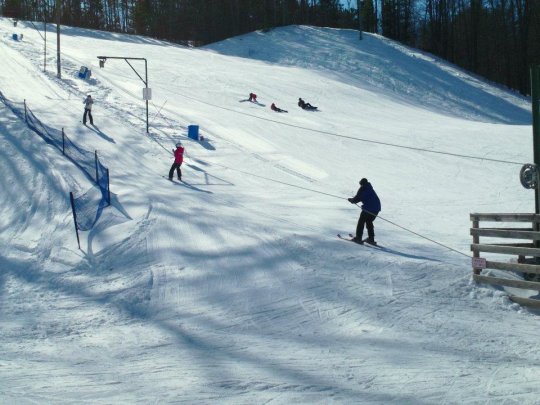 Амерыканскі досвед Вішнёвага фестывалю можа быць прыдатны і ў Глыбокім