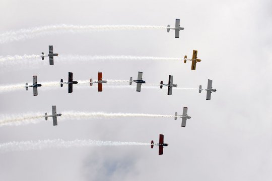 Амерыканскі досвед Вішнёвага фестывалю можа быць прыдатны і ў Глыбокім