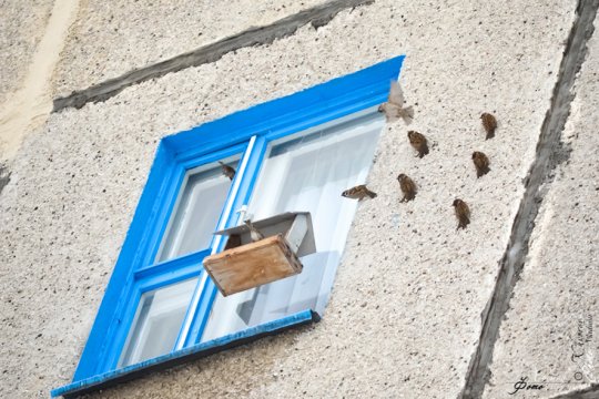 14 января от Владимира Хворова