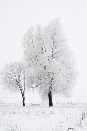 14 января от Владимира Хворова