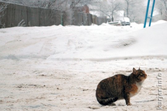 Фотоокна. 14 января 2013