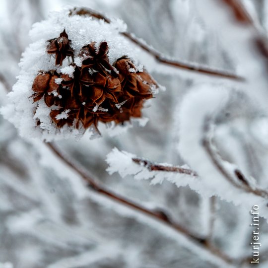 Фотоокна. 14 января 2013