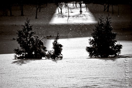 Фотоокна. 18 января 2013. Про природу