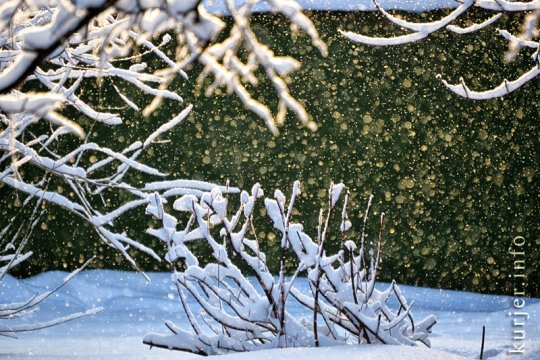 Фотоокна. 18 января 2013. Про природу