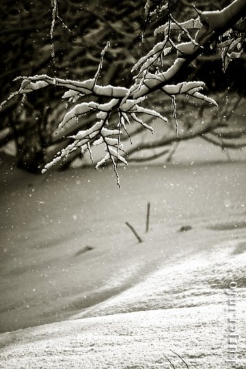 Фотоокна. 18 января 2013. Про природу