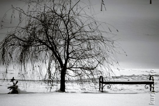 Фотоокна. 18 января 2013. Про природу