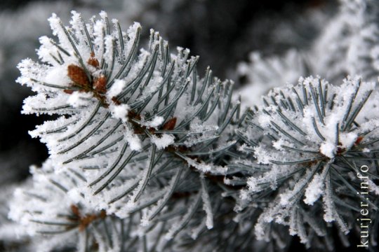 Фотоокна. Вика Макарова про один снежный день