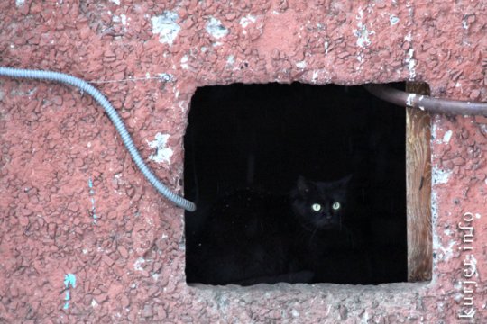 Фотоокна. Вика Макарова про один снежный день