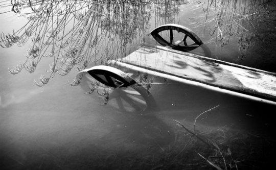 Рита Шилей: «Без фотографии жить уже не могу» (+ галерея фото)